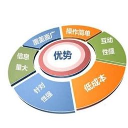 上海网站建设与维护,金融产品推广,整合营销策划一条龙